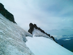 IMG_20150804_111745